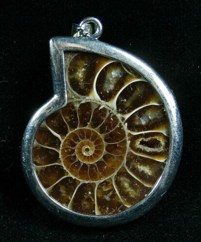 Fossil Ammonite Pendant #7675